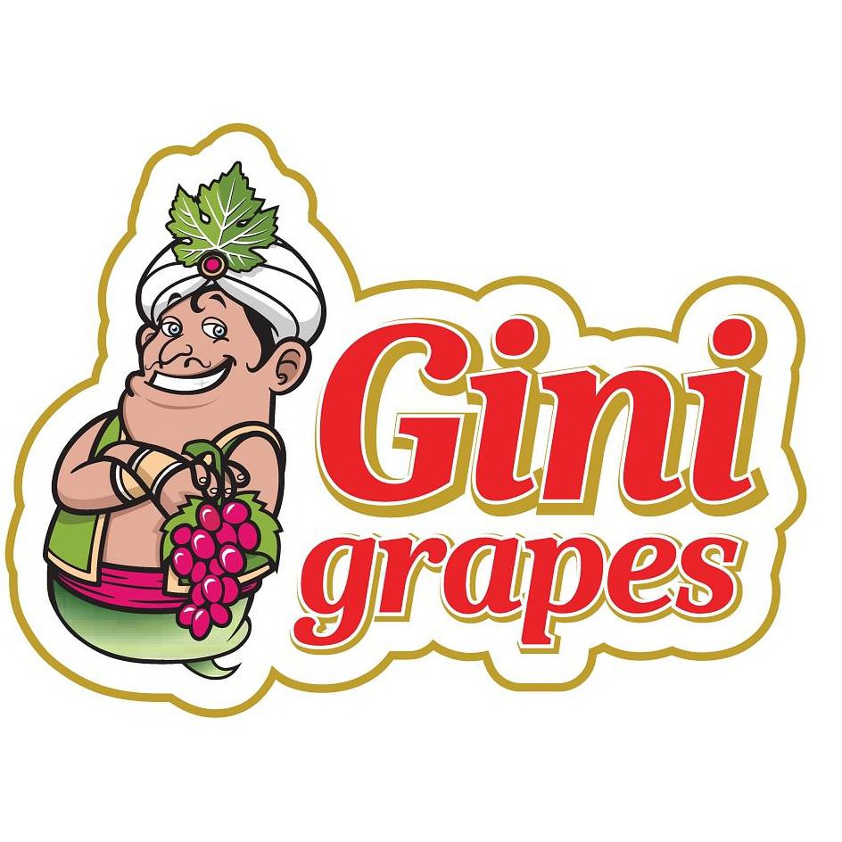 Trademark Logo GINI