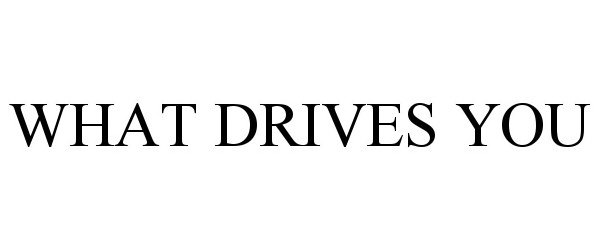 Trademark Logo WHAT DRIVES YOU