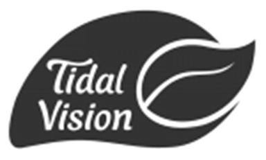  TIDAL VISION