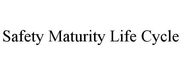  SAFETY MATURITY LIFE CYCLE