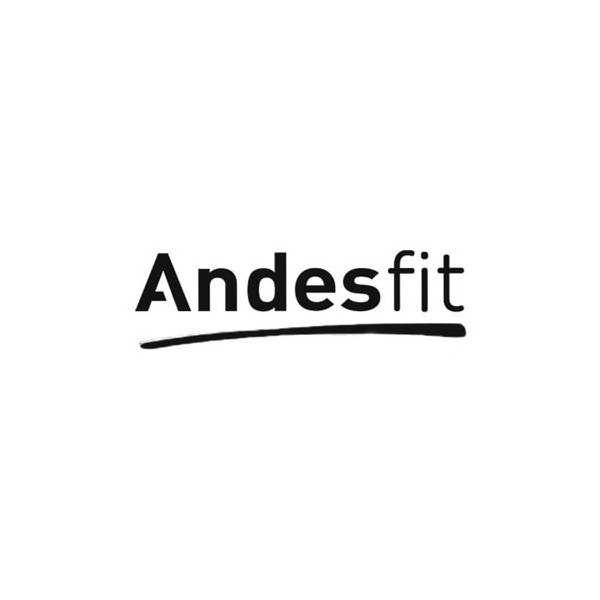 Trademark Logo ANDESFIT