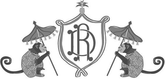 Trademark Logo DR