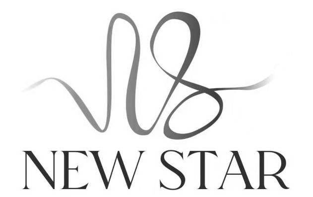 Trademark Logo NW NEW STAR