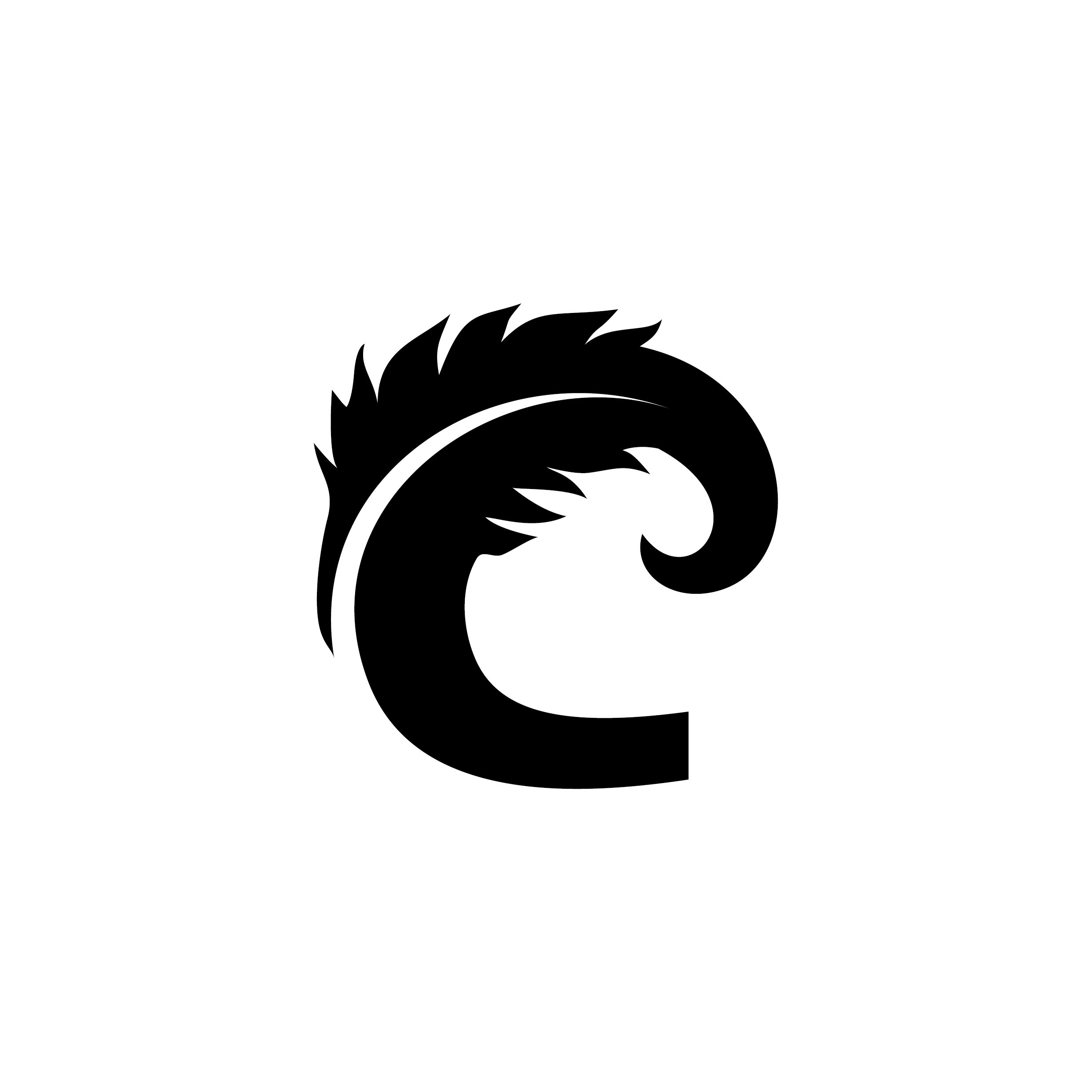 Trademark Logo CANARDS WATERFOWL