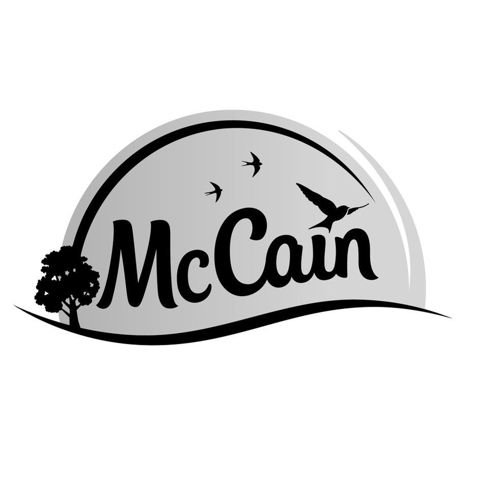 Trademark Logo MCCAIN