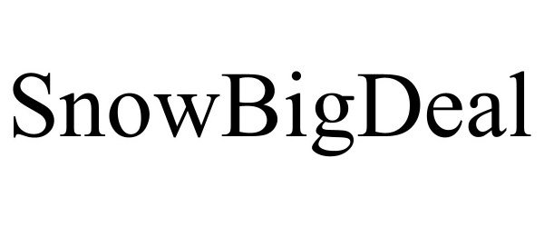 Trademark Logo SNOWBIGDEAL