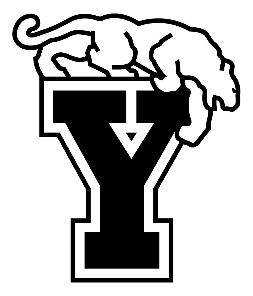 Trademark Logo Y