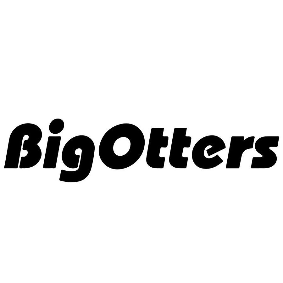  BIGOTTERS