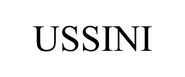  USSINI