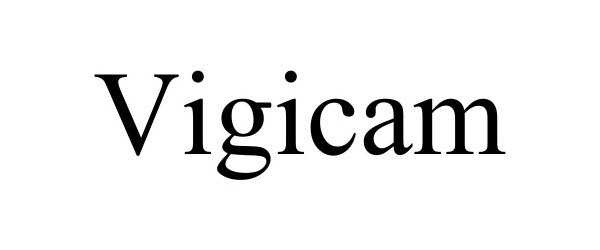 Trademark Logo VIGICAM