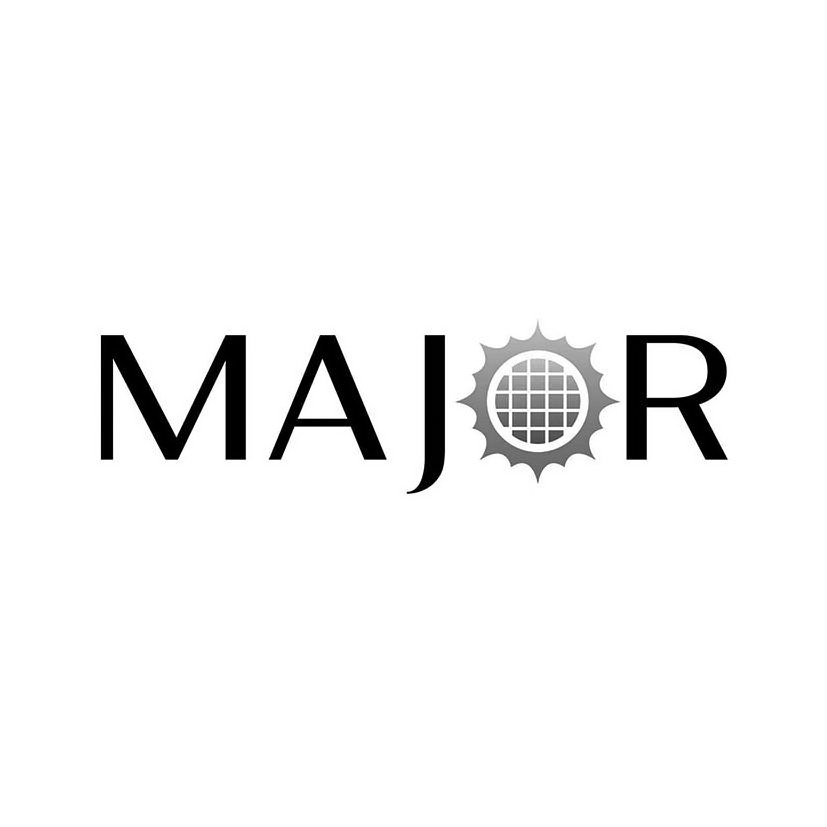 Trademark Logo MAJOR