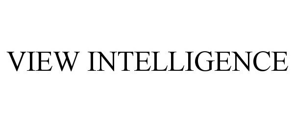  VIEW INTELLIGENCE