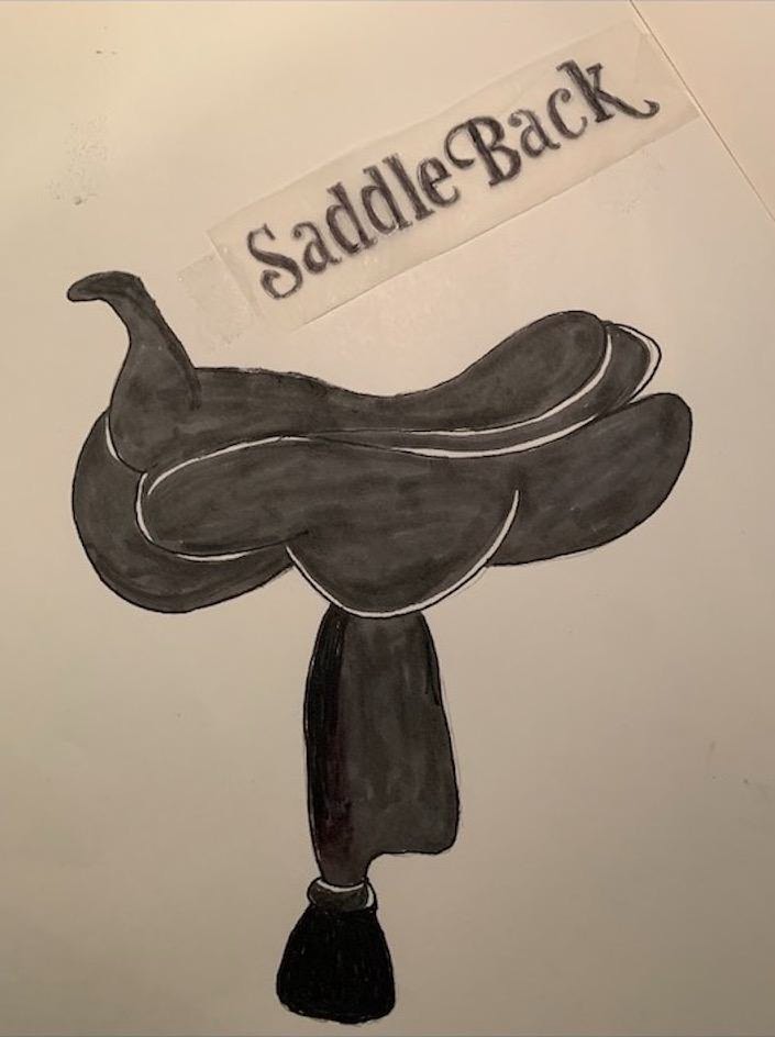  SADDLE BACK