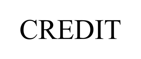 Trademark Logo CREDIT