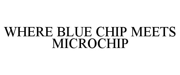  WHERE BLUE CHIP MEETS MICROCHIP