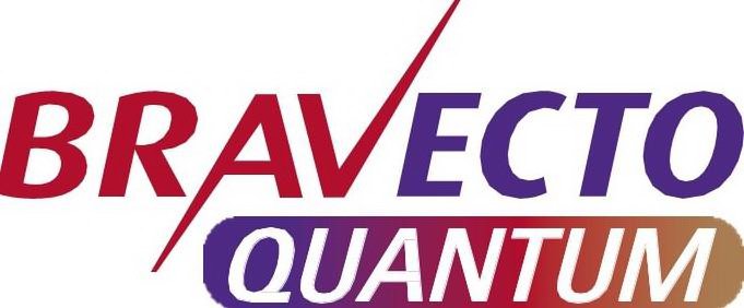  BRAVECTO QUANTUM