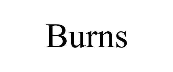 Trademark Logo BURNS