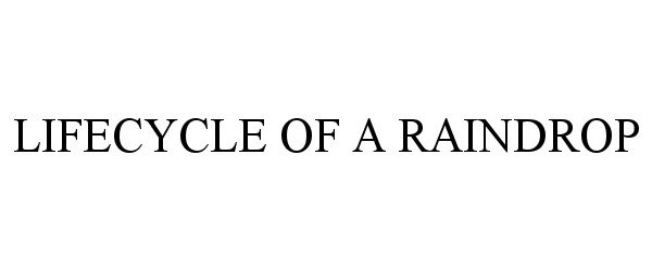 Trademark Logo LIFECYCLE OF A RAINDROP