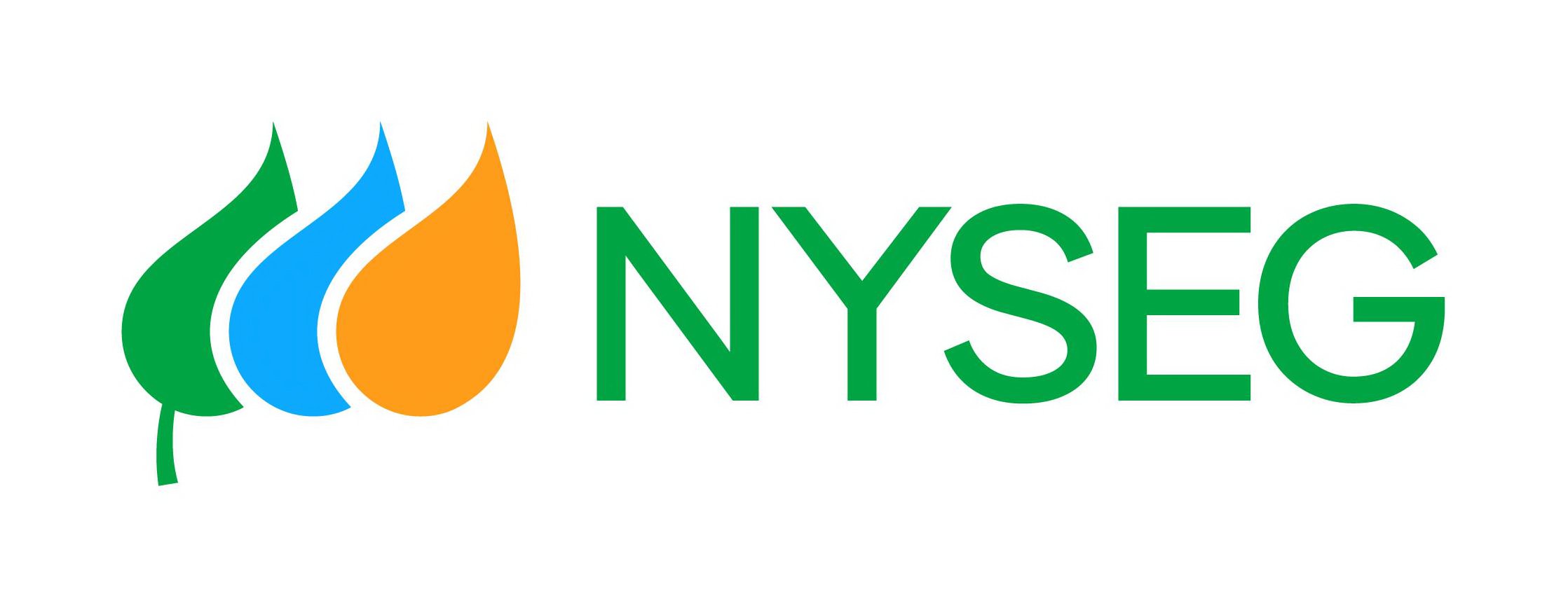 Trademark Logo NYSEG
