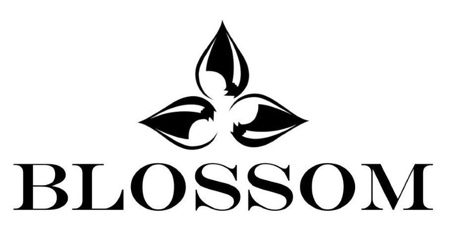 BLOSSOM - Blossom Kitchen & Bath Supply Corporation Trademark