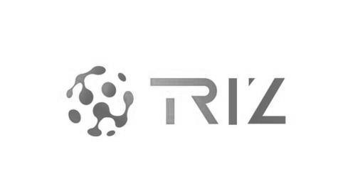 Trademark Logo TRIZ