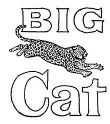 Trademark Logo BIG CAT