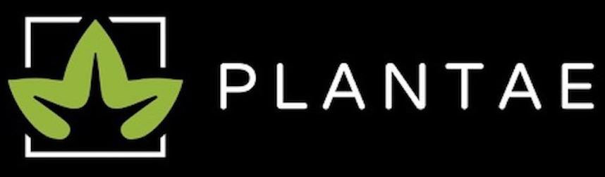 Trademark Logo PLANTAE