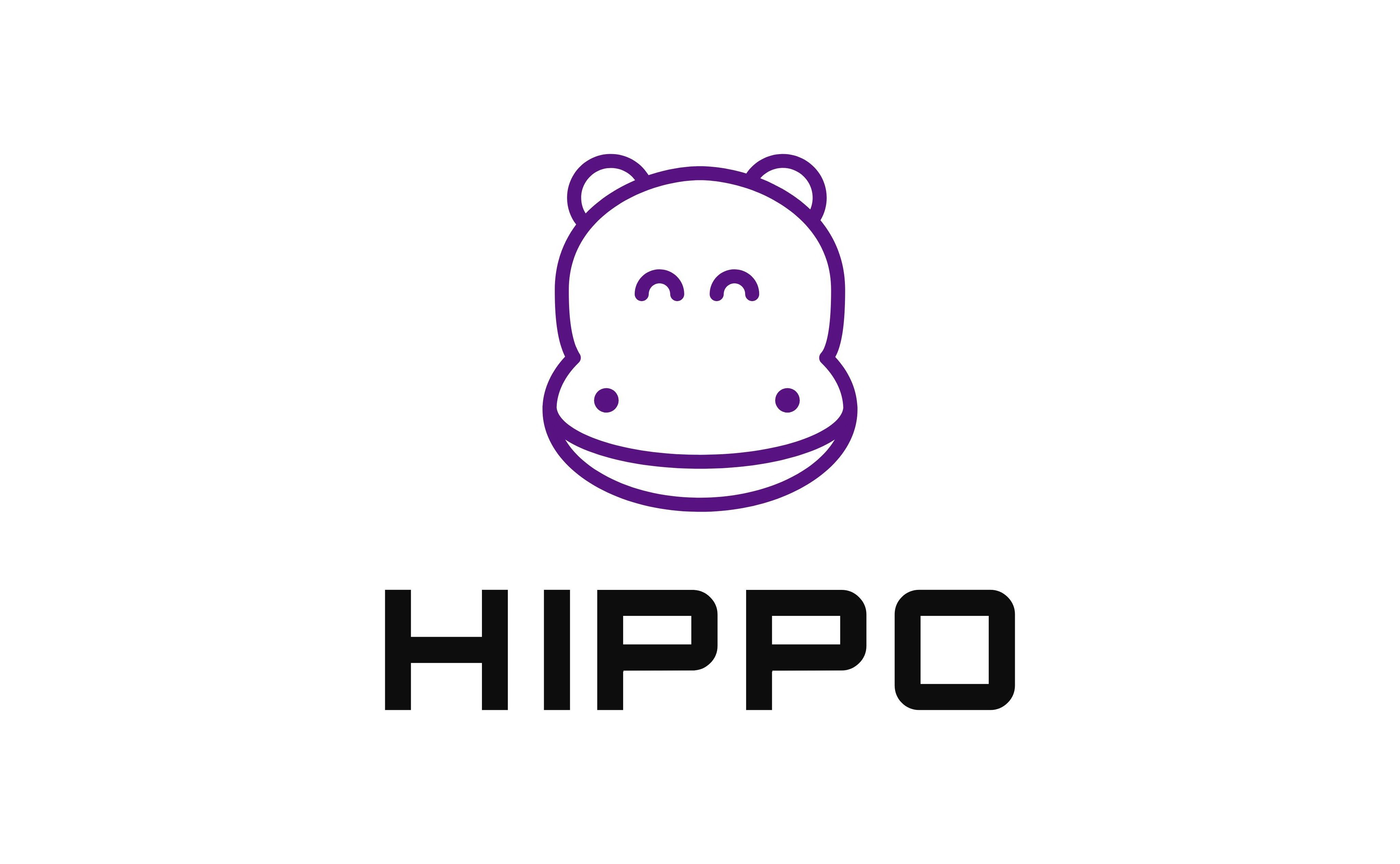  HIPPO WATERCRAFTS