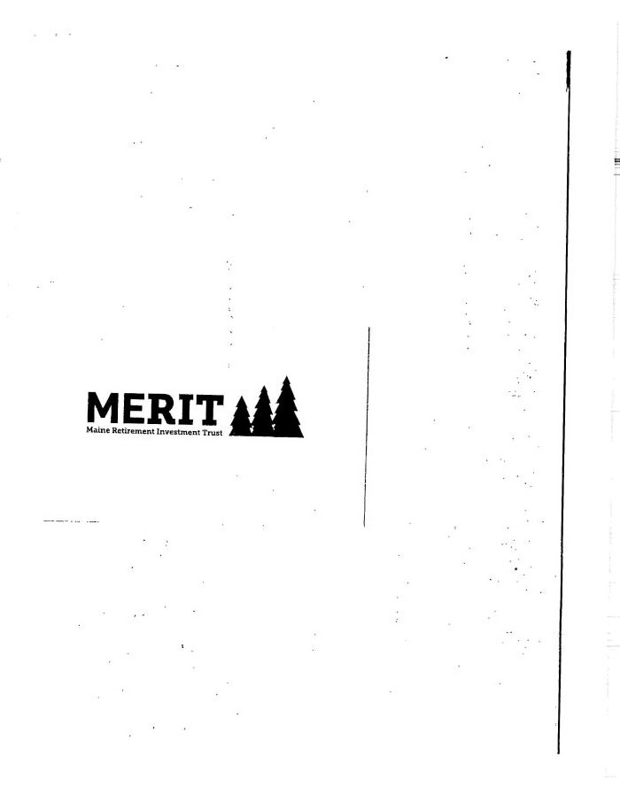 Trademark Logo MERIT MAINE RETIREMENT INVESTMENT TRUST