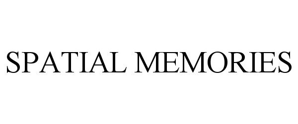 Trademark Logo SPATIAL MEMORIES