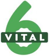 Trademark Logo VITAL 6