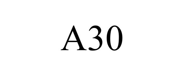 Trademark Logo A30