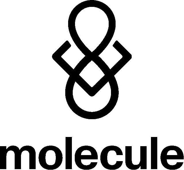 MOLECULE