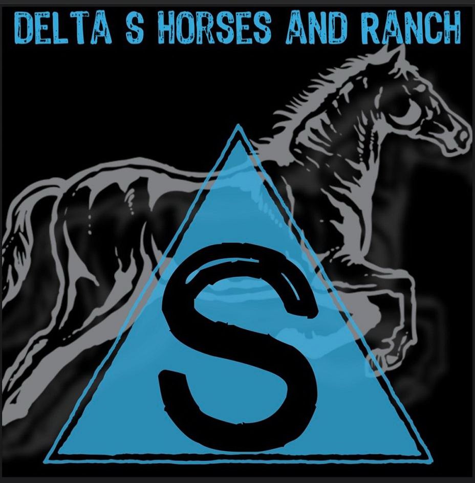  DELTA S HORSES AND RANCH S