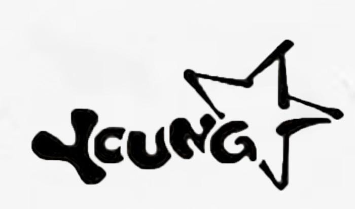 Trademark Logo YOUNG