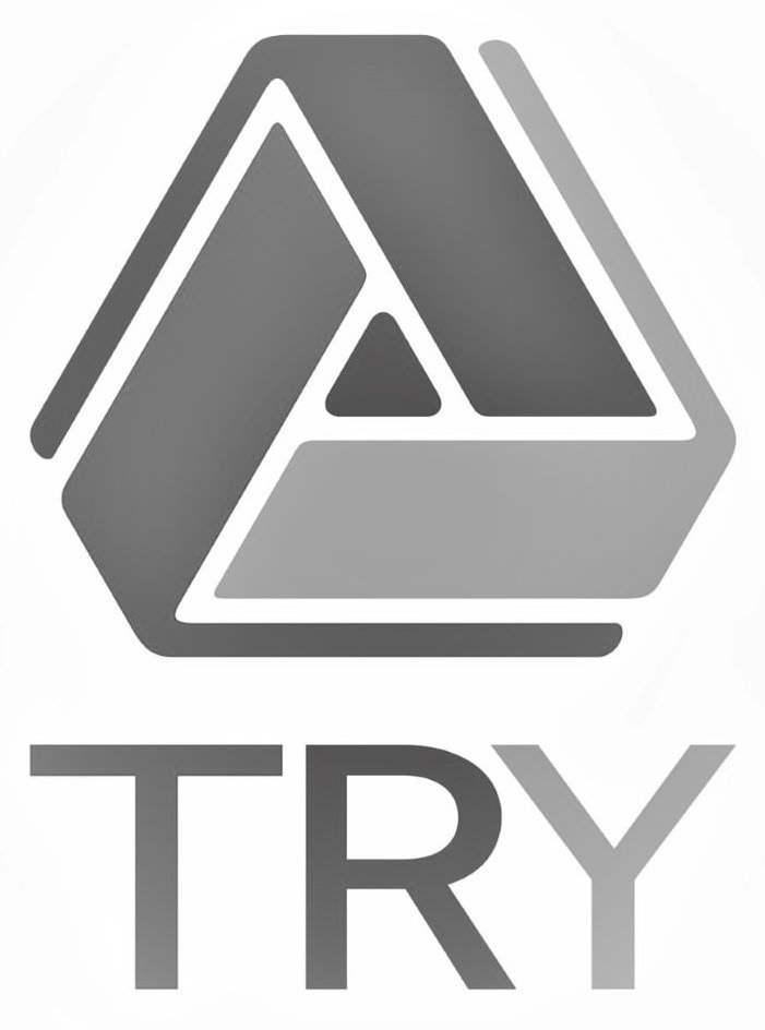 Trademark Logo TRY