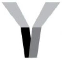  Y (STYLIZED)