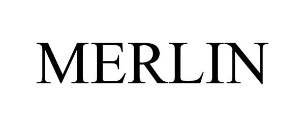 Trademark Logo MERLIN