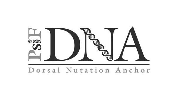 Trademark Logo PSIF DNA DORSAL NUTATION ANCHOR