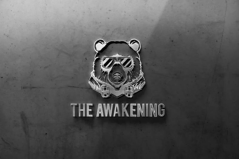 THE AWAKENING