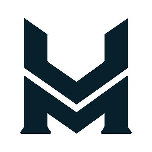 Trademark Logo VM