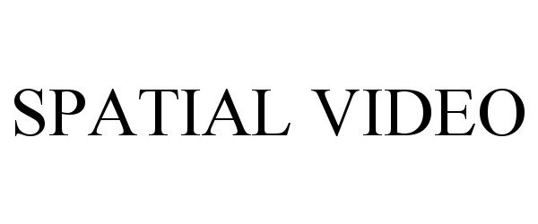 Trademark Logo SPATIAL VIDEO