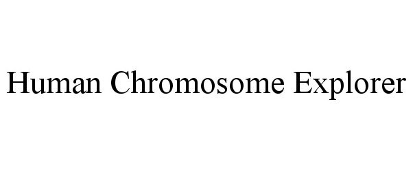  HUMAN CHROMOSOME EXPLORER