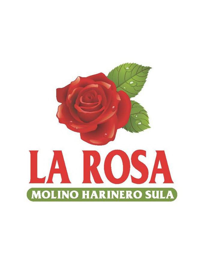  THE ROSE OF MOLINO HARINERO SULA