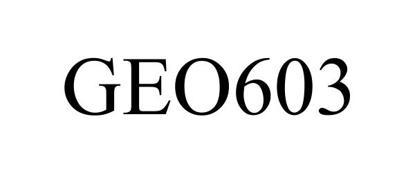  GEO603