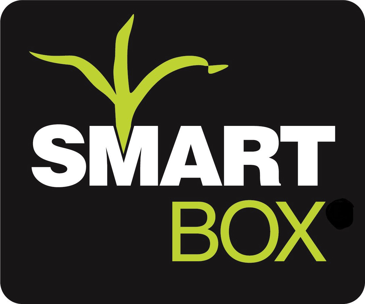 Trademark Logo SMART BOX