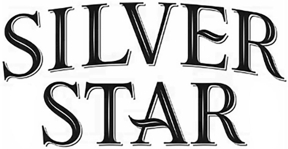 Trademark Logo SILVER STAR