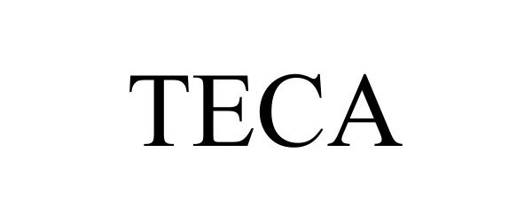 Trademark Logo TECA