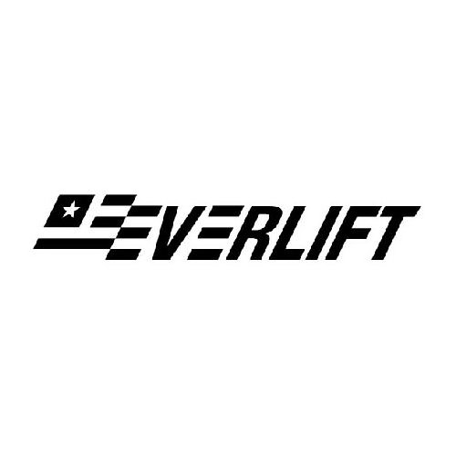 Trademark Logo EVERLIFT
