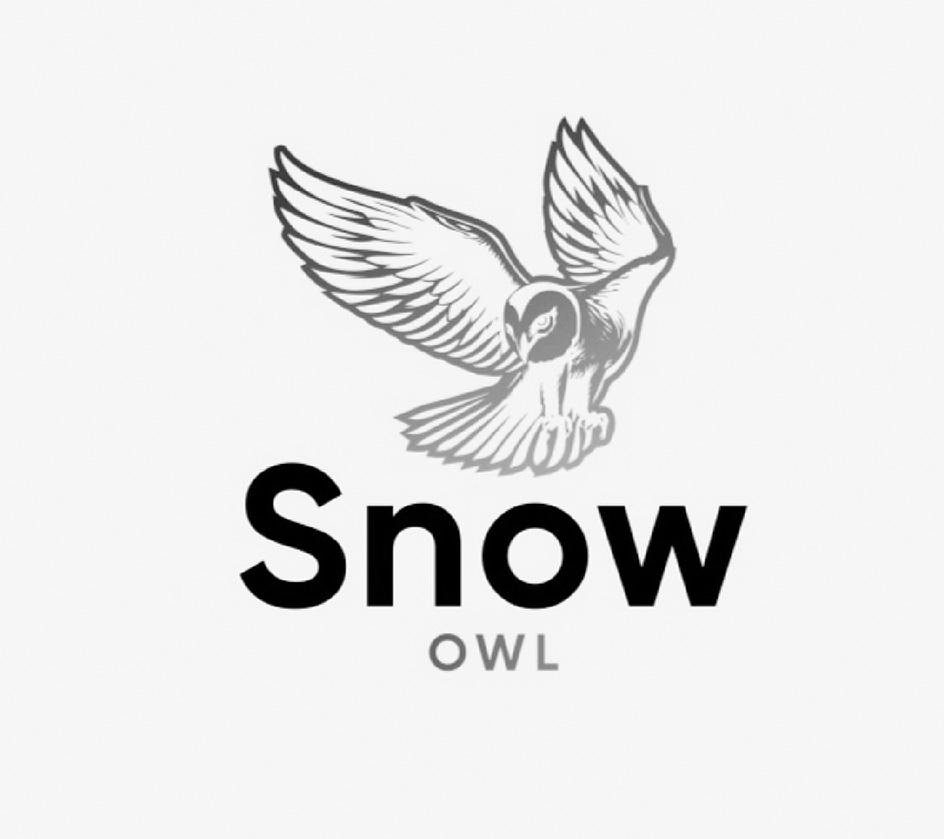 SNOW OWL